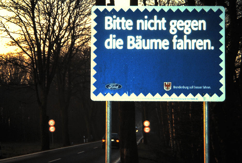 Insel Rügen: Rügen ist auf dem Holzweg. Update # 01